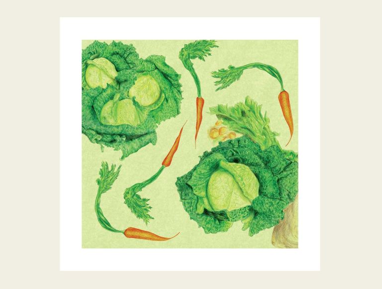  - Beltrida - illustrateurs/rices