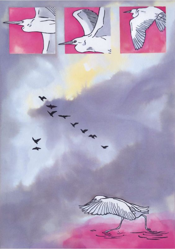 Illustration - juliette marmonier - illustrateurs/rices