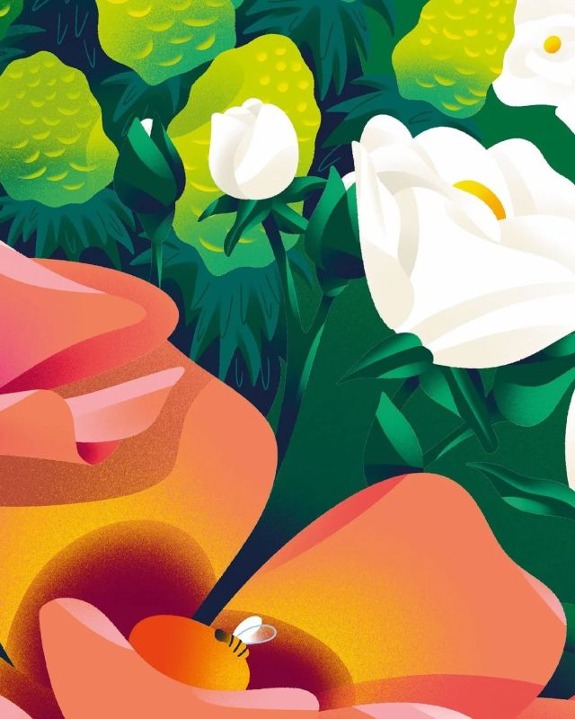 Illustration - manon sauzara - illustrateurs/rices