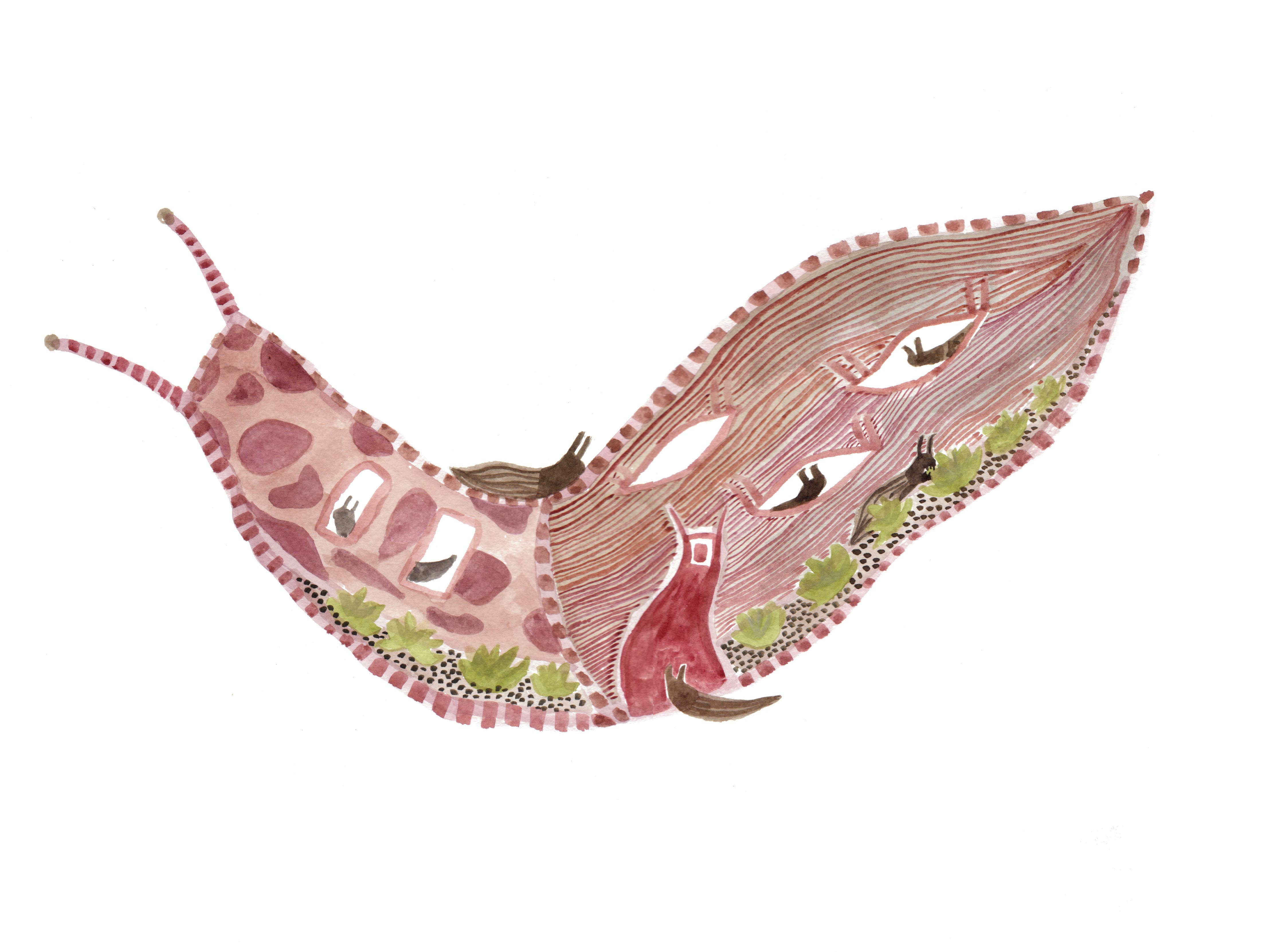 illustration L'escargot abstrait: motifs organiques et couleurs chaudes