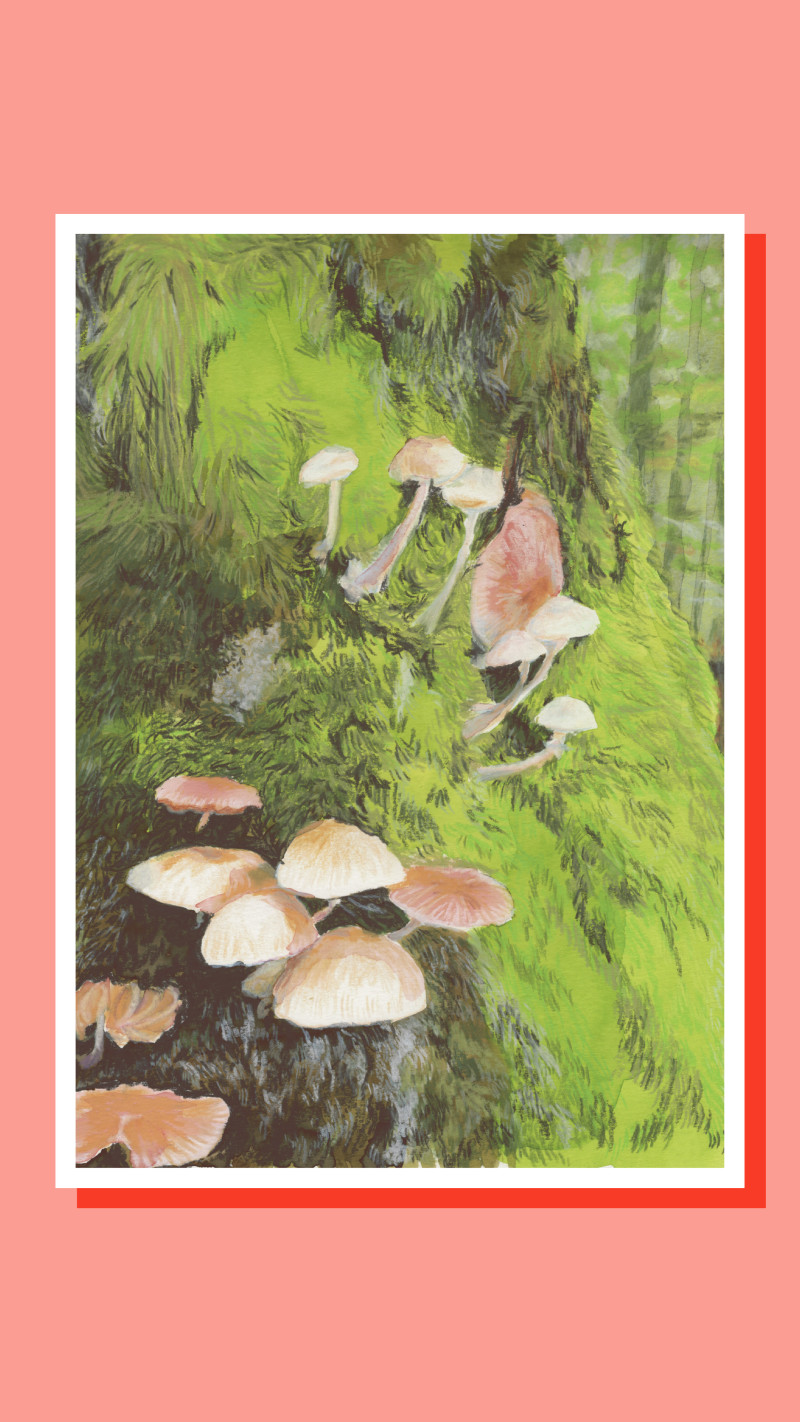 Les champignons - juliette marmonier