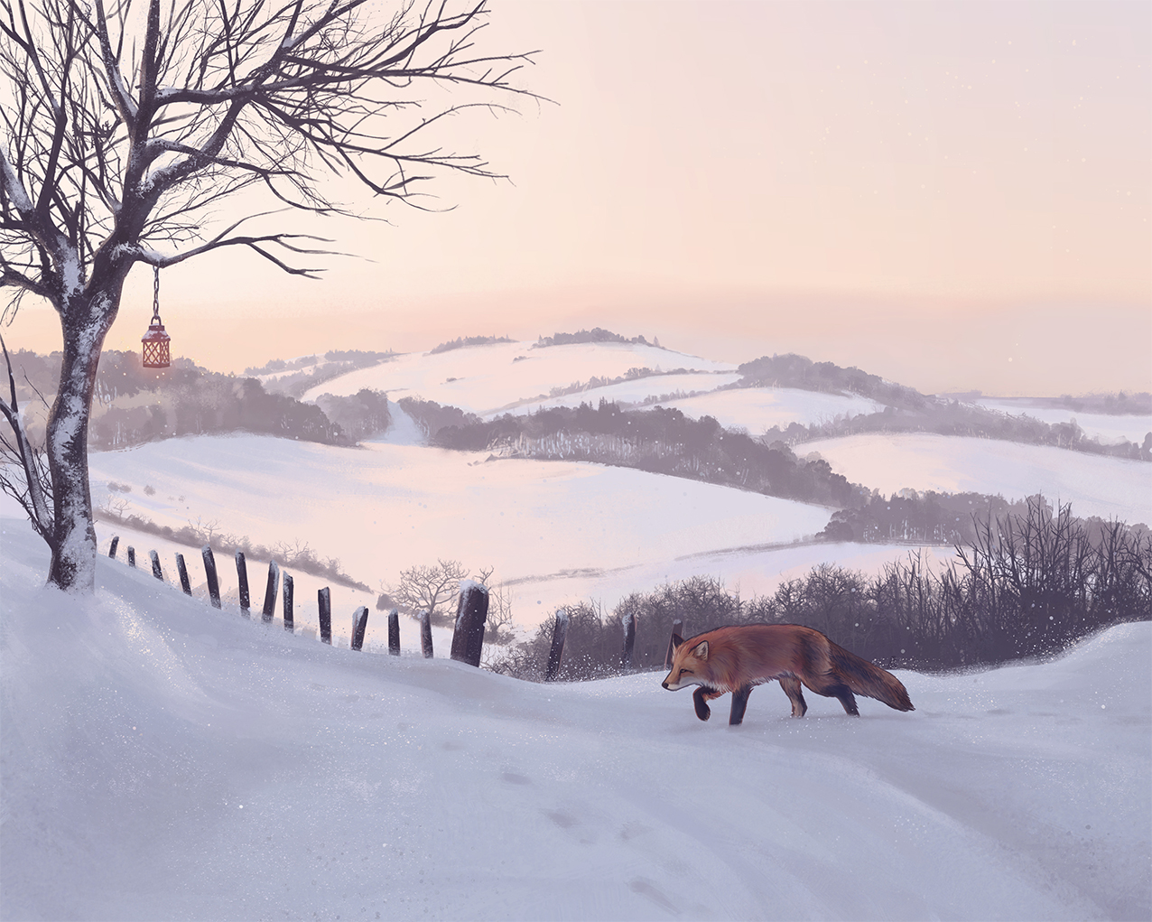 Tarka Illustration